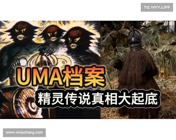 精灵传说在全球文化中的深远影响与象征意义解析 精灵传说在全球文化中的深远影响与象征意义解析