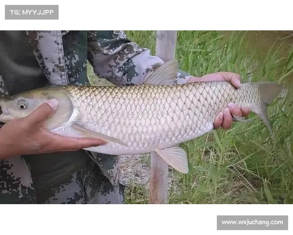 地下城维护常见误区解析及解决策略全面剖析