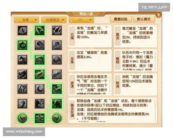 深入解析龙宫职业加点五大要素打造最强输出与生存完美兼顾的终极指南